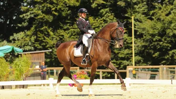 Cédric Gallinard en selle sur Scherzo ZC.