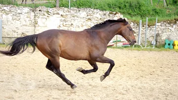 Kenzack quinze mois après son opération 