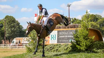 Birmane à Marnes-la-Coquette à l'occasion de sa brillante victoire dans le CCI 4*-S le week-end passé. 