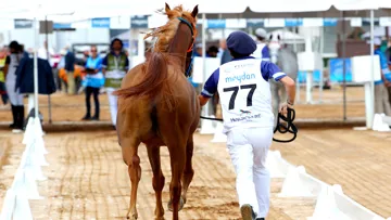 Image d'illustration 