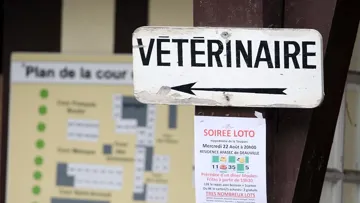 Le confinement aura permis à certains sujets de de soigner quelques douleurs chroniques