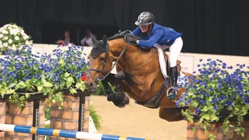 © Hippo Foto/Dirk Caremans