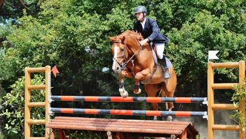 Christophe Verhulsel réussi le parcours sans-faute sur Iago des Hausseurs et remporte le Derby du CSI 2*.