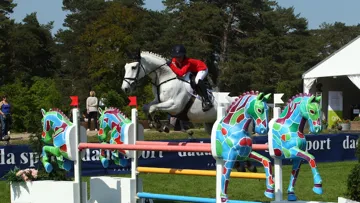 Les Allemands ont réussi à renverser la tendance, et volent la première place aux Pays-Bas