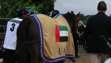 Pendant la suspension des Émirats arabes unis, aucun drapeau du pays ne pouvait apparaître sur les compétitions internationales.