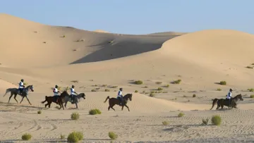 À l’encontre du triste mouvement, l’initiative Boudheib encourage une gestion respectueuse, intelligente et durable du cheval.