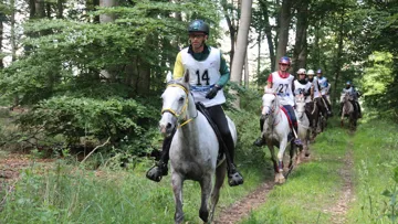 Jean-Philippe Francès et Bolt de Venelles à Compiègne.