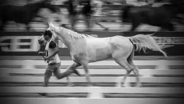 Image d'illustration.