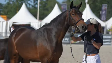 Petite Moïse, championne Suprême femelle, est également la mère du gagnant des foals mâles.