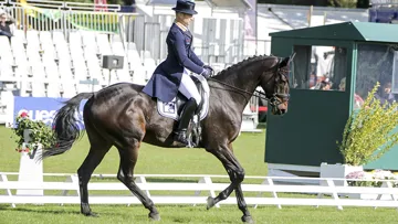 Michael Jung et Lennox en tête des sept ans