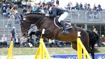 Champion des cinq ans avec Alexis Borrin, l'été dernier à Fontainebleau, Andain du Thalie sera présenté au Salon des étalons de Saint-Lô.