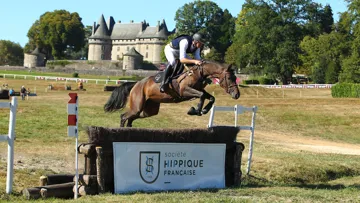 Une très belle championne des quatre ans.