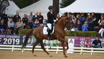 Dorian Grey de Hus, champion de France des chevaux de sept ans.