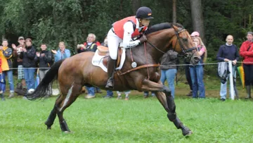 Comme d'autres chevaux après lui, La Biosthétique Sam s'est d'abord illustré dans le championnat du monde Jeunes chevaux avant d'exploser au plus haut niveau.