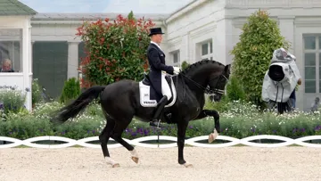 Après avoir été plusieurs fois repoussé, le retour de Totilas se fera finalement ce week-end à Hagen.