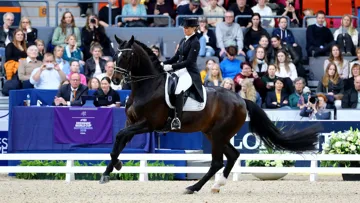 Morgan Barbançon Mestre et Sir Donnerhall II seront les leaders sportifs de cette équipe.