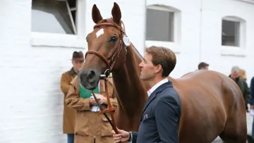 Hermès Ryan des Hayettes a offert de nombreux succès au  Lorrain cette année, dont une médaille de bronze individuelle aux derniers championnats d'Europe.