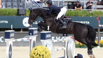 Belle performance pour l'Irlandais et son hongre de dix ans.