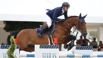 La dernière apparition de Sultan du Chateau sous la selle de Laurent Guillet remonte au mois d'août dernier, lors du CSI 4* de Valence.