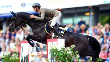 Cornetto K et Alberto Zorzi aux championnats d'Europe Longines de Göteborg.