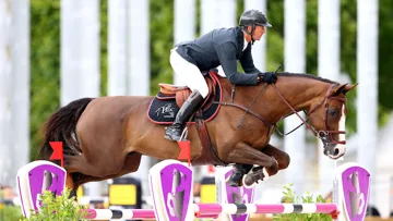 Bien remis de sa blessure, Aquila*HDC sera la cartouche du Normand en vue d'une sélection pour les Jeux équestres mondiaux.