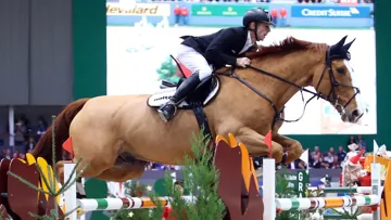 Personne n'a pas aller plus vite que la maître allemand et son Selle Français.
