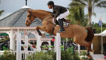 Ici à Wellington sous la selle d'Emanuel Andrade, Clouwni fait partie des quatorze chevaux qui seront vendus aux enchères le mois prochain.
