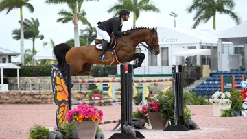 Ici sous la selle d'Emanuel Andrade, Ricoré Courcelle a particulièrement concouru à Wellington récemment.