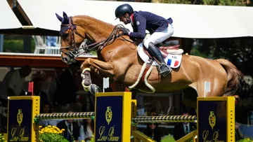 Simon Delestre et Uccello de Will n'iront pas à Rotterdam.