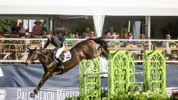 McLain Ward parfait à Wellington
