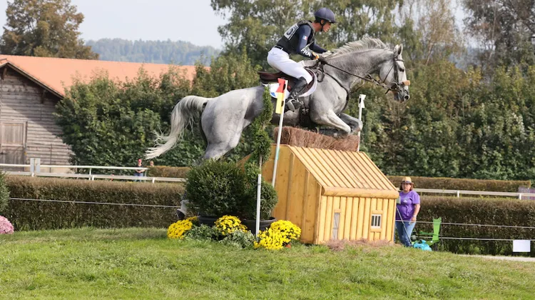Maxime Livio et Api du Libaire.
