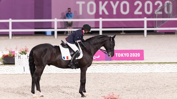 Chiara Zenati et Swing Royal*IFCE.