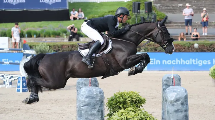 Le style parfait d'Alamo a fait mouche.