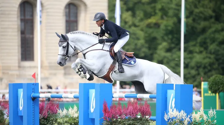 Âgé de dix ans, Le Coultre de Muze est aujourd'hui à la tête du piquet de chevaux de Philippe Rozier. 