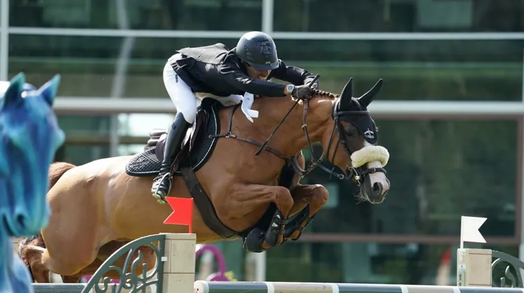 Abdel Saïd a tout donné avec sa Selle Français.