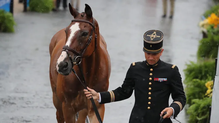 Triste nouvelle pour le couple champion olympique par équipes en titre. 