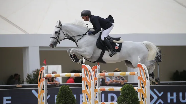 Pour aller défendre les couleurs de la France aux Jeux olympiques de Tokyo, Simon Delestre a été sélectionné avec Berlux Z, un hongre de dix ans qui évolue sous sa selle depuis 2018. 