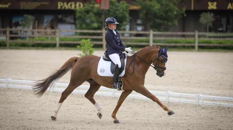 Fleur Weijkamp et Don Amour de Hus au CDI du Mans en juin.