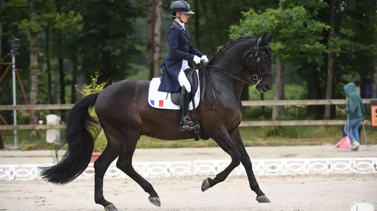 Membres de l’équipe de France Juniors l’an passé, Mado Pinto et Hot Bit de la Gesse participeront cette année aux championnats d’Europe Jeunes Cavaliers. 