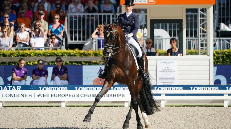 Morgan Barbançon Mestre et Sir Donnerhall II étaient membres de l'équipe de France aux championnats d'Europe de Rotterdam en 2019.