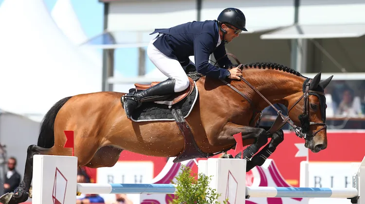 À Bourg-en-Bresse, Atome des Étisses s’est classé deux fois deuxième du Grand Prix CSI 4*. 