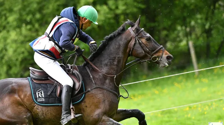 Nicolas Touzaint et Absolut Gold*HDC