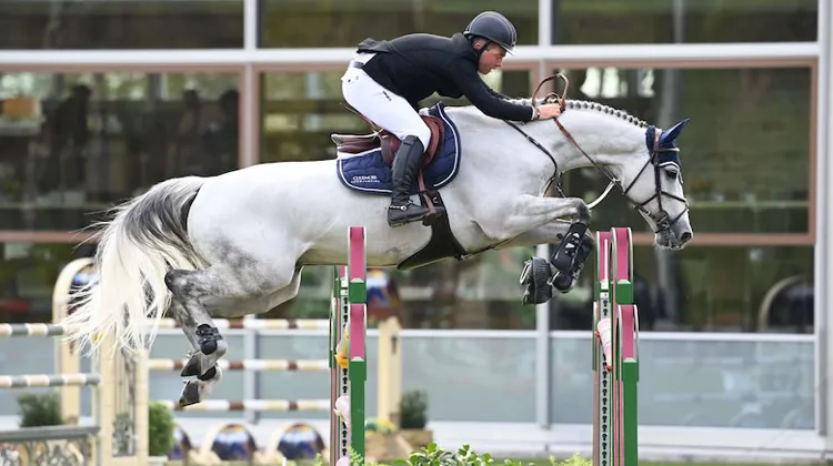 “C’est un adorable guerrier”, dit au sujet de Kilkenny Duarte Seabra, son cavalier pendant un an.