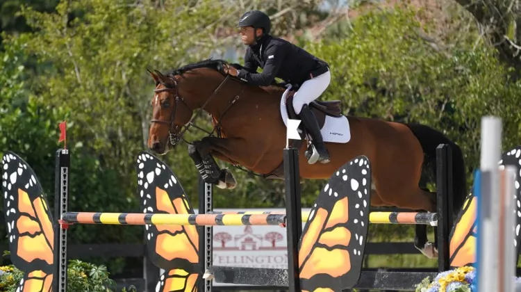 Baïkal de Talma ici avec Kent Farrington lors du Winter Equestrian Festival en février.