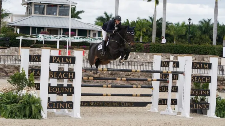 Brian Moggre et MTM Vivre le Reve, associés depuis 2016, se sont particulièrement distingué lors du Winter Equestrian Festival.