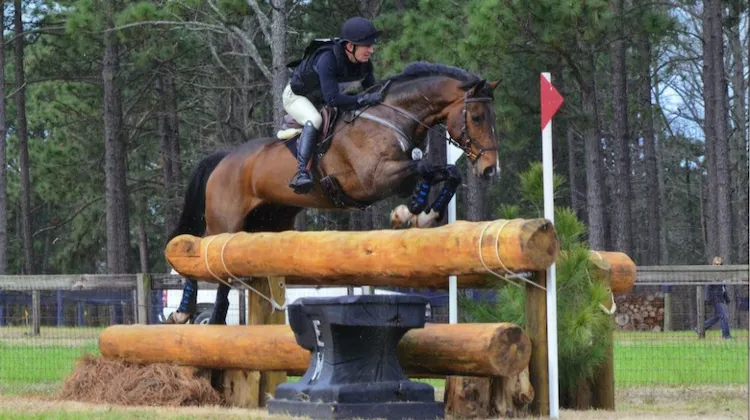 Photographié ici en compétition au Carolina International en 2018, David Vos a apporté une contribution significative aux travaux du groupe de travail de la FEI consacré à la gestion des risques en concours complet.