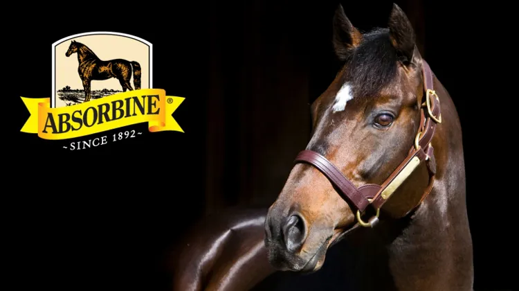 “Comme vous, nous avons la passion du cheval. Et cela, depuis 1892.”