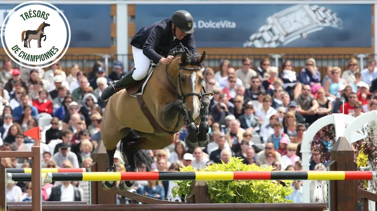 Nifrane de Kreisker en 2011 au CSIO 5* de La Baule avec Roger-Yves Bost.