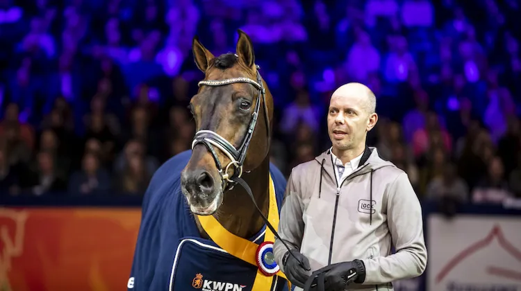 Fin 2020, Glock’s Johnson TN a pris pour la première fois la tête du classement des meilleurs pères de gagnants internationaux en dressage.