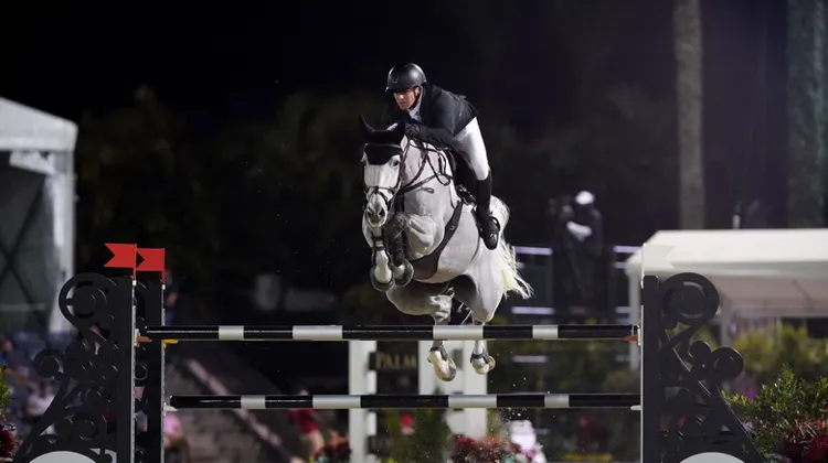 Sous les lumières de Wellington, Shane Sweetnam a fait briller son généreux Alejandro